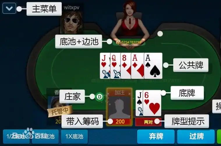 德扑散牌与散牌(德扑一副牌还是两副牌)